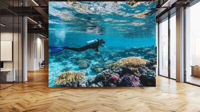 A person snorkeling in crystal-clear waters, with colorful coral and tropical fish visible below, and the surface of the water shimmering above them. Wall mural