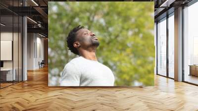 Black serious man breathing fresh air in a park Wall mural