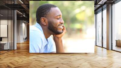 Happy man with black skin relaxing in a park Wall mural