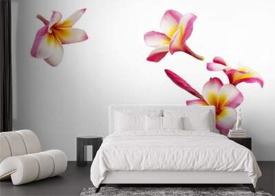 colorful flowers frangipani local flora of asia arrangement flat lay postcard style  Wall mural