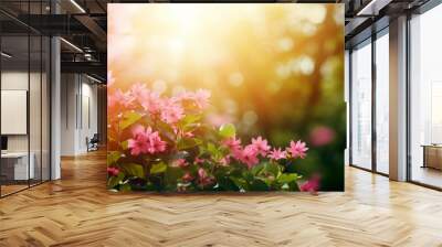 spring daisy flower blooms in a field during sunset summer landscape blur background. spring season  Wall mural