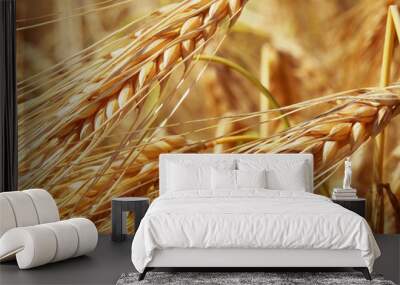 Cereales 5 Wall mural