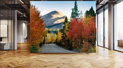 Boreas Pass Wall mural