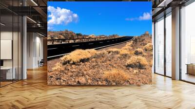 empty two lane blacktop road in the desert with scrub plants arid landscape and blue sky with clouds Wall mural