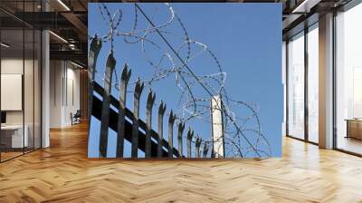 Razor Wire Fence Wall mural