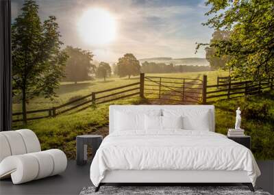 Mist, trees and Sunrise over Shropshire country side UK. Wall mural