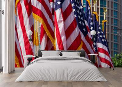 Row of American flag outdoors with skyline in background Wall mural