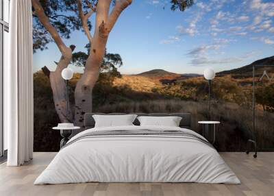 Dawn at Munjina gorge in the Karijini National Park, framed by a sunlit snappy gum tree trunk. Wall mural