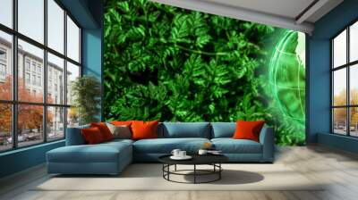  Crystal Earth On Fern With Soil  - Green Environment / Ecology Concept Wall mural