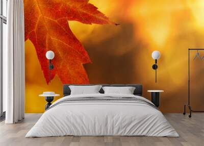 autumn maple leaf Wall mural