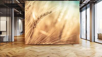 Close-up Of Ripe Golden Wheat With Vintage Effect, Clouds And Sky - Harvest Time Concept Wall mural