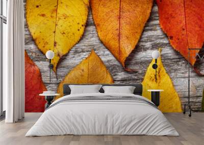 Colorful autumn leaves on wooden background Wall mural