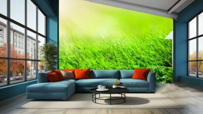 Eco Friendly House - Paper Home On Grass In Garden Wall mural