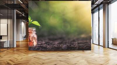 Hand Adding Penny To Coin Jar With Plant In Soil - Business Growth / Investment Concept Wall mural