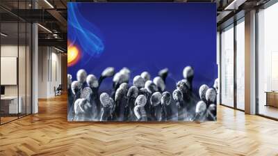 New Match Bursting Into Flames Standing In Group Of Old Burnt Matchsticks - New Life / Idea Concept Wall mural