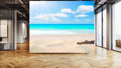 Starfish, Shell, And Driftwood On Sandy Seashore With Tropical Water, Clouds And Sunshine - Beach Holiday Background Wall mural