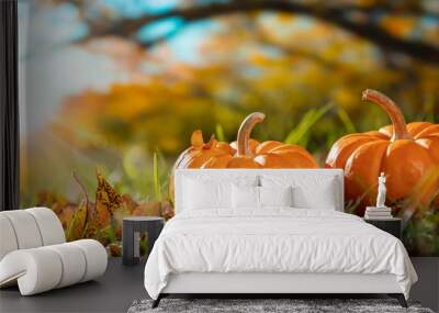 Thanksgiving - Two Mini Pumpkins In Grass With Tree And Sunset Background Wall mural