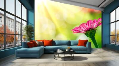 Zinnias Wall mural