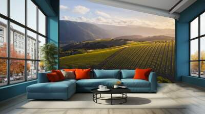 Valley Vineyard in Setting sun Wall mural