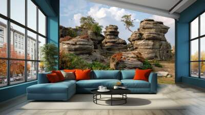 Scenic view of Brimham Rocks in Yorkshire Dales National Park Wall mural