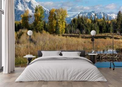 Schwabachers Landing Wall mural