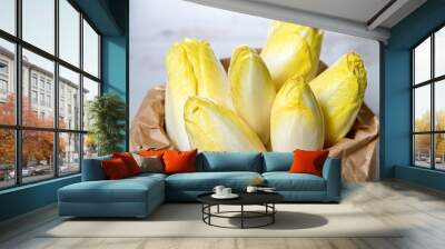 raw organic belgian or french endive Wall mural