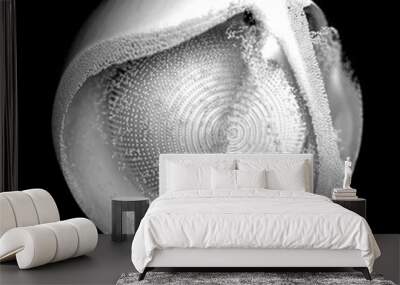 3d render of abstract art 3d ball with small cemetery pimples with liquid milk splash around with small balls particles in white glossy material on black background   Wall mural