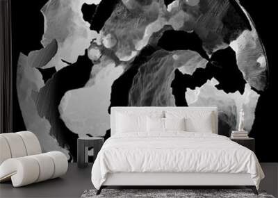 3d render of abstract art black and white damaged 3d ball planet earth , moon or asteroid in spherical shape with big crack in organic rough shape on surface on isolated black background Wall mural