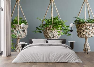 Artisan macrame plant holders adding greenery to spaces with elegant handmade touch Wall mural