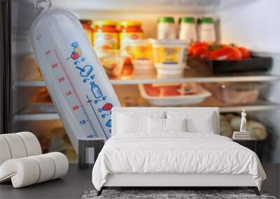 Thermometer in front of open fridge / refrigerator filled with food in kitchen Wall mural