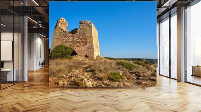 Torre Uluzzo in the Regional Park of Porto Selvaggio in Apulia - Italy Wall mural