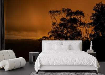 Photograph of trees in front of a bright orange sunset sky over a valley after a thunderstorm Wall mural