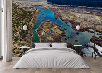 The San Jaun River New Mexico Wall mural