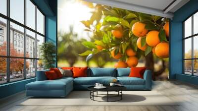 Bunch of orange at farm Wall mural