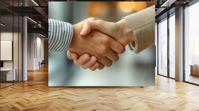 handshake between two professionals Wall mural