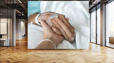 inpatient hand holding from relative or family, palm of an old man clasp his family member for energy support while stay in hospital for modern and high technology medical treatment by skillful doctor Wall mural