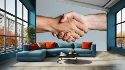 A close-up of two hands shaking, symbolizing agreement, partnership, or collaboration in a business or personal context. Wall mural