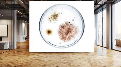 Different types of bacterial colonies in petri dish over white background Wall mural