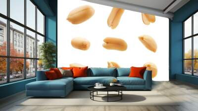 Set of peeled peanuts isolated on white background Wall mural