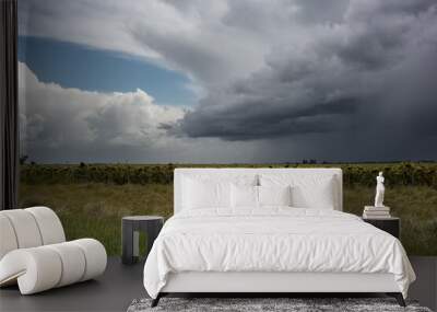 Storm over a field of sunflowers Wall mural