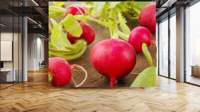 fresh radishes Wall mural