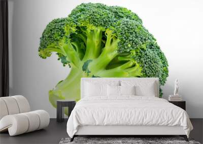 a piece of broccoli is shown on a white background Wall mural