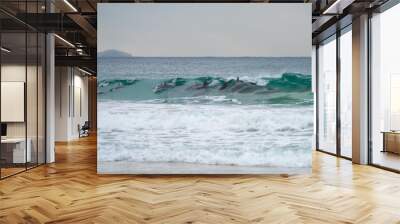 dolphin surfing waves on a beach Wall mural