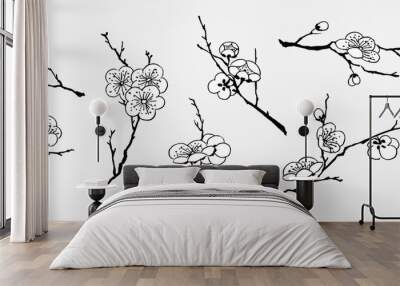 Watercolor ink paint art vector texture illustration cherry blossom flower branch collection. Translation for the Chinese word : cherry blossom Wall mural