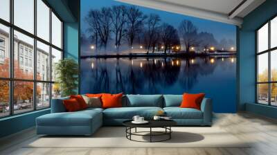 Trees and lights reflection in a lake in the evening Wall mural