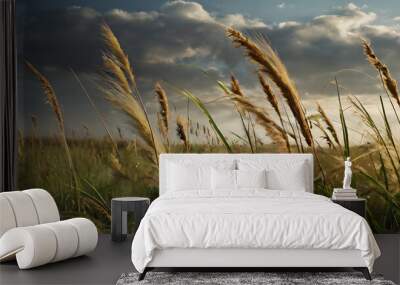 tall, untamed prairie grass swaying in the wind Wall mural