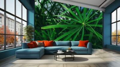 Green Leaf Papyrus Plant in water. Wall mural