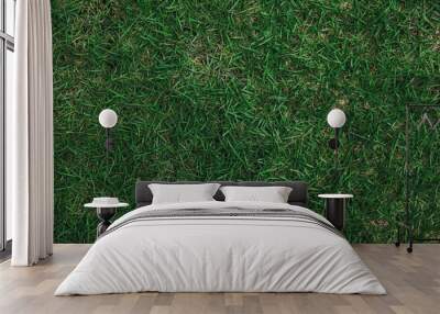 Top view of green grass texture. for background. in dark tone. Wall mural