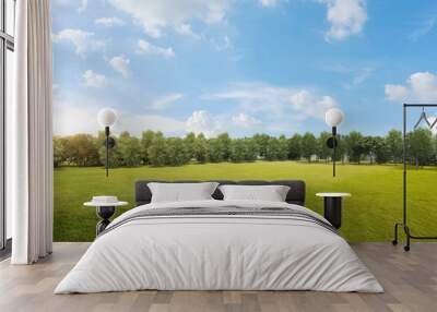 Green grass field with tree forest and cloudy blue sky Wall mural