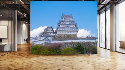 Himeji castle under blue sky Wall mural